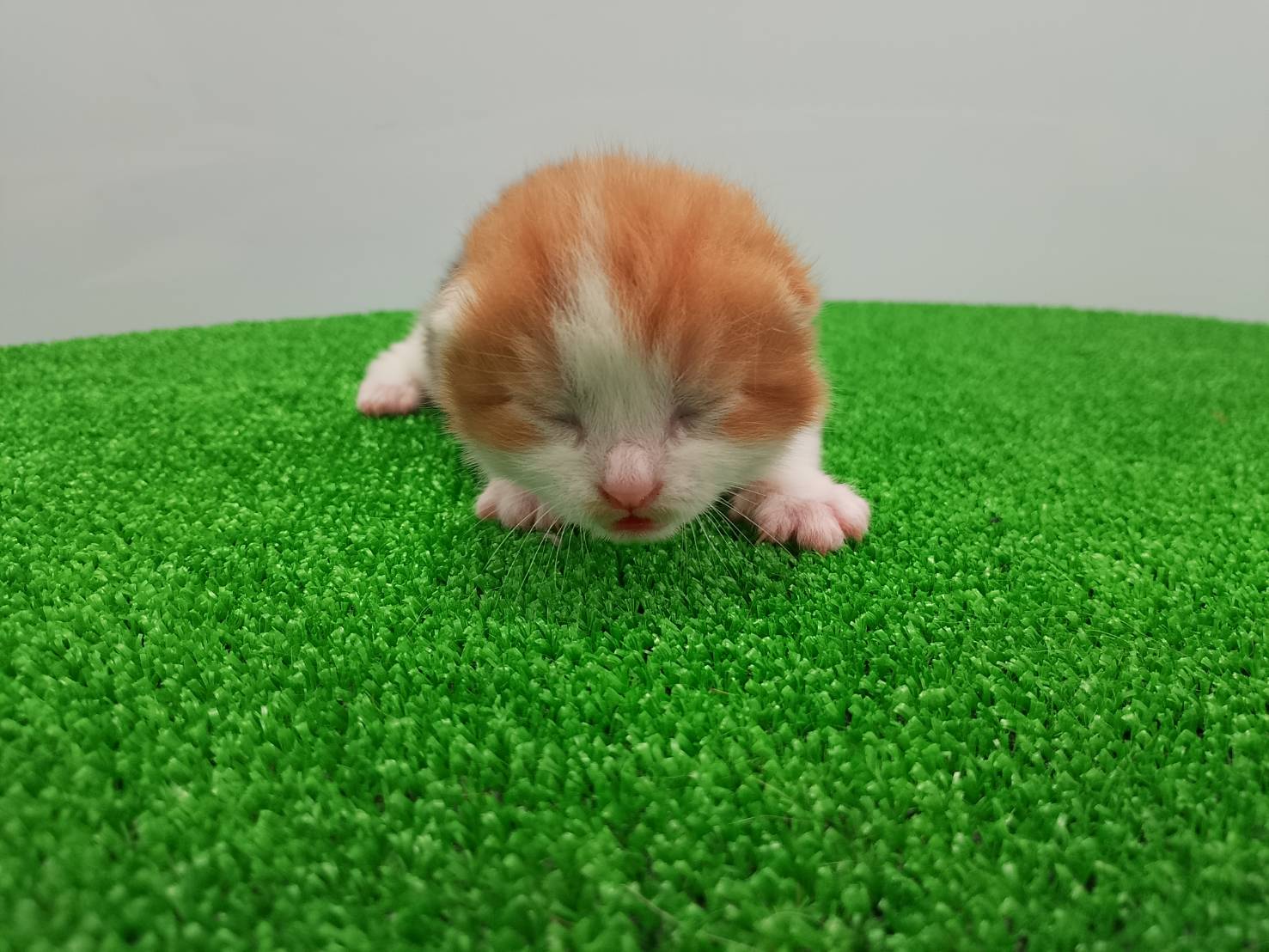 赤ちゃん写真1-3