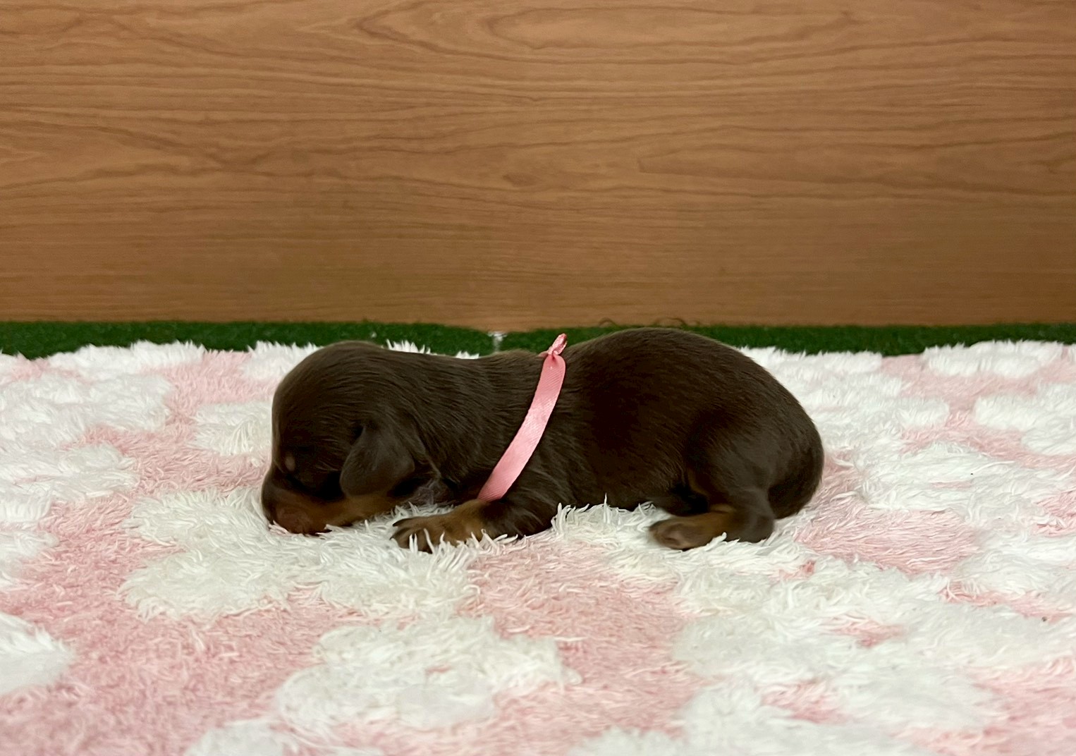 赤ちゃん写真1-2