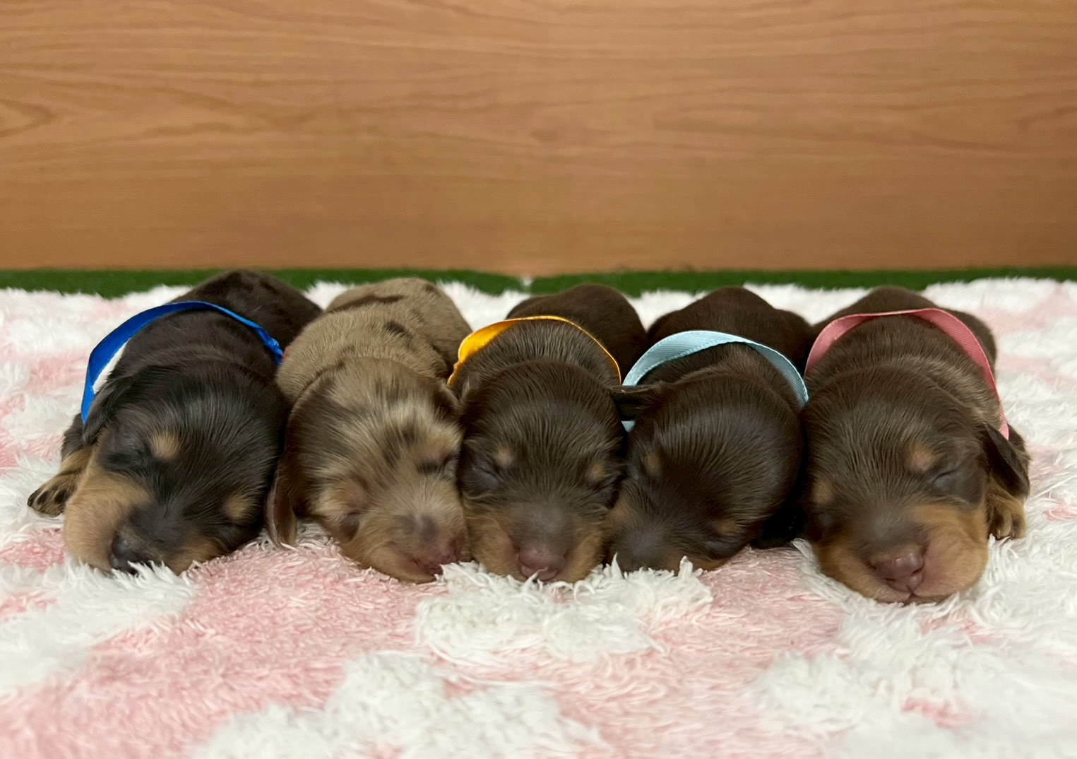 赤ちゃん写真1-3
