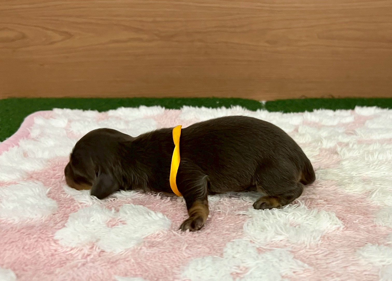 赤ちゃん写真1-2