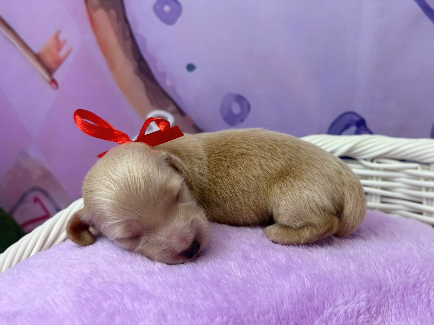 赤ちゃん写真1-2