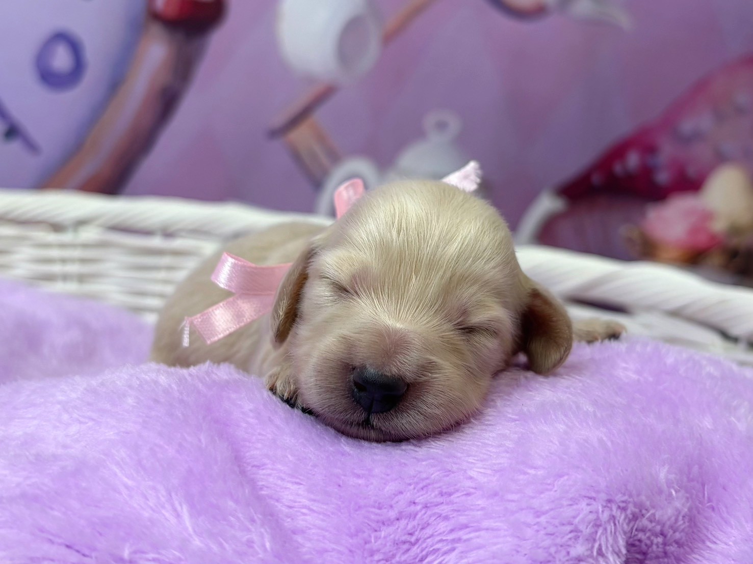 赤ちゃん写真1-1