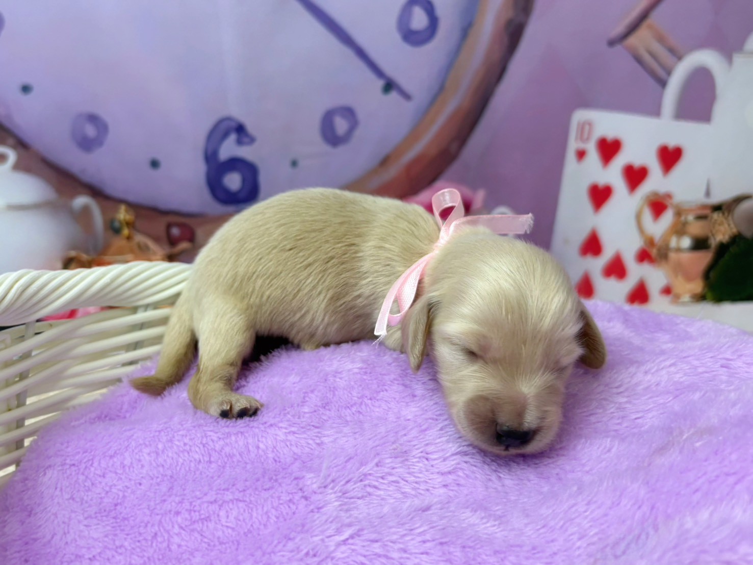 赤ちゃん写真1-2