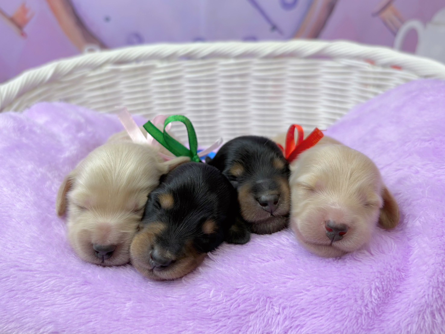 赤ちゃん写真1-3