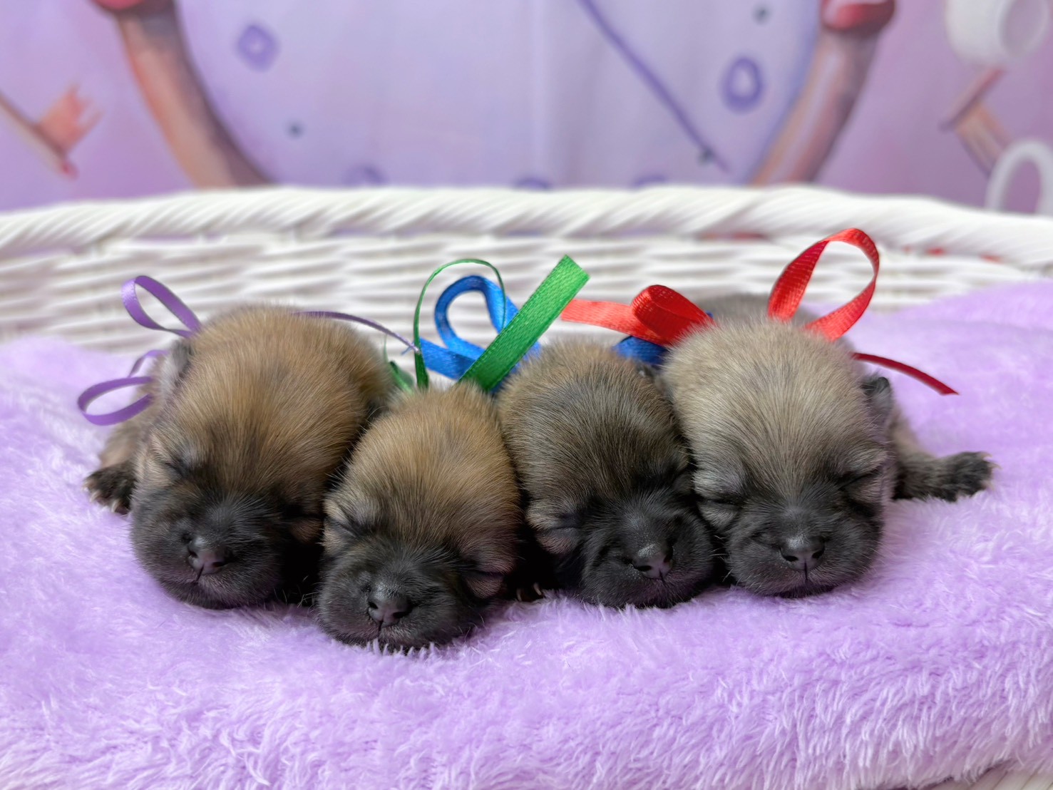 赤ちゃん写真1-3