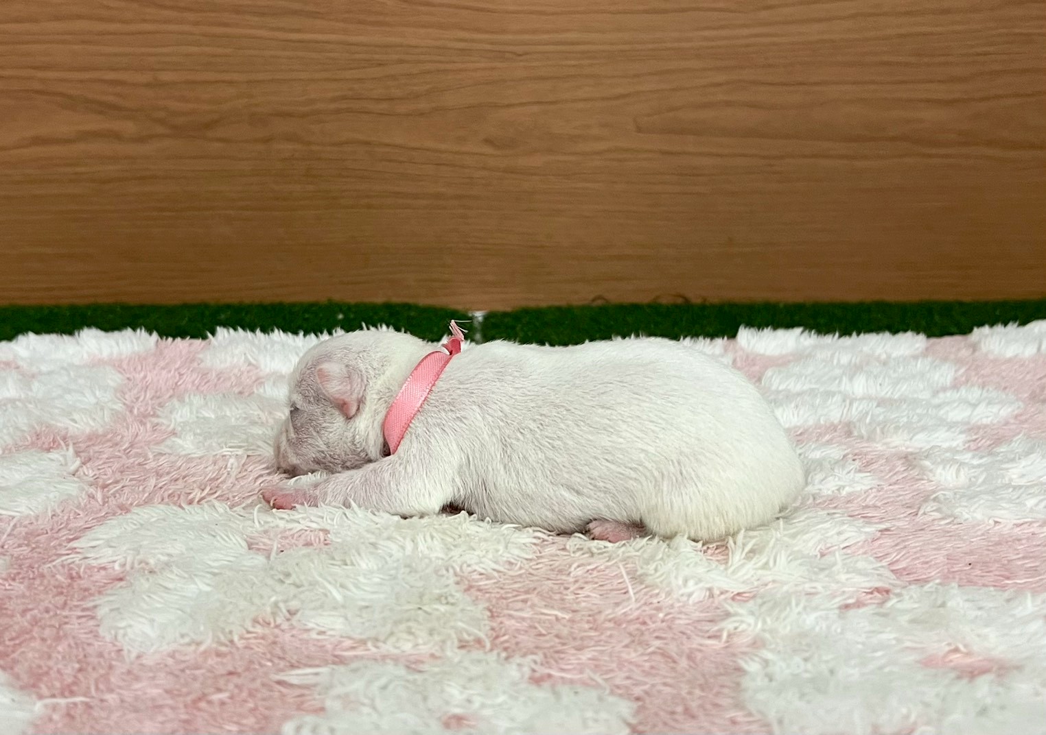 赤ちゃん写真1-2