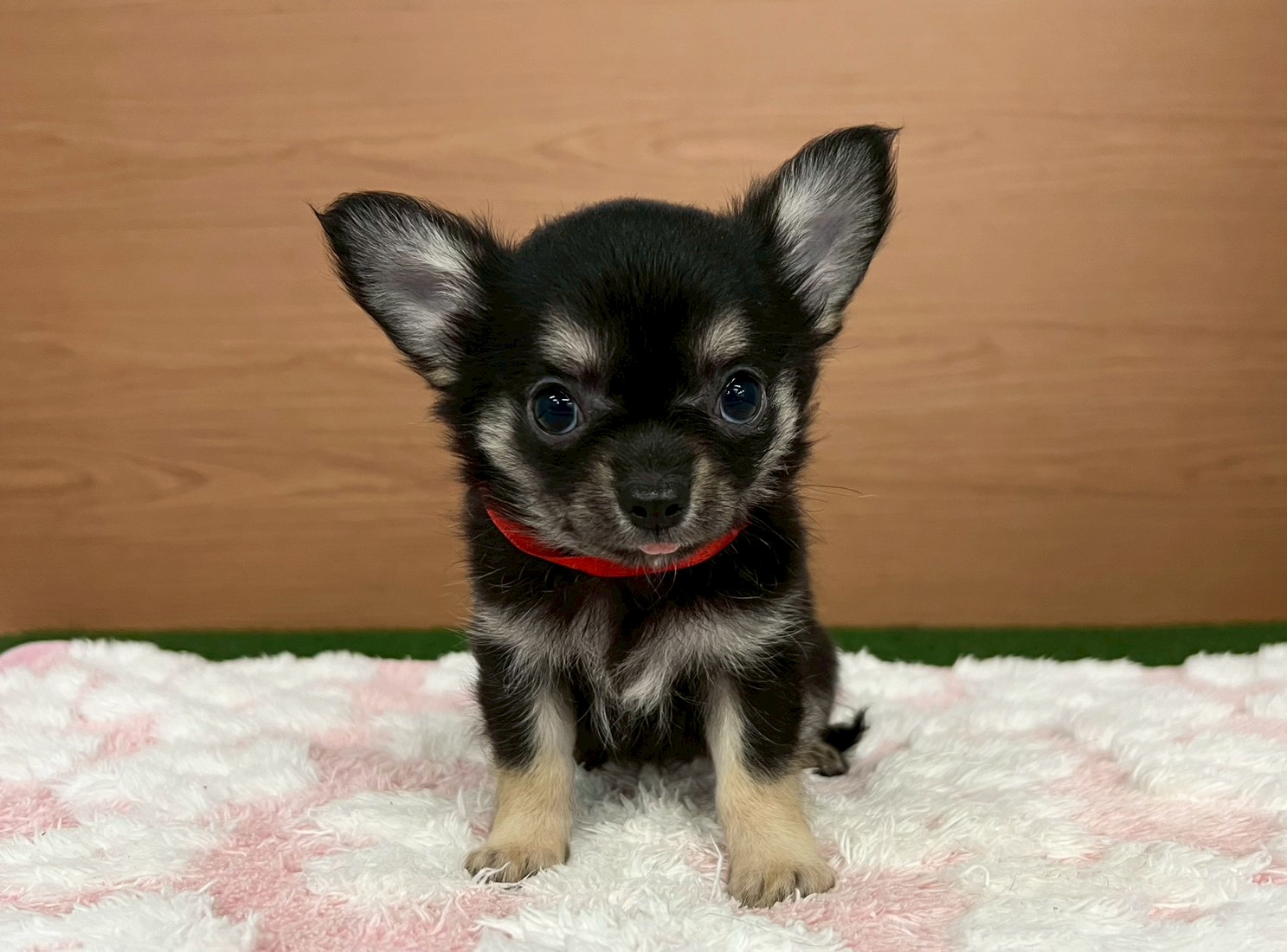 赤ちゃん写真3-1