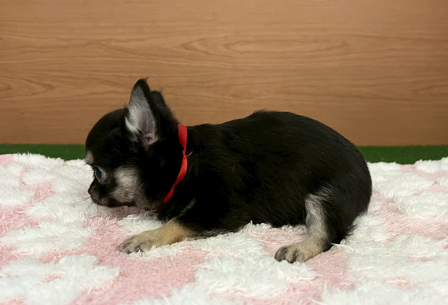 赤ちゃん写真3-2