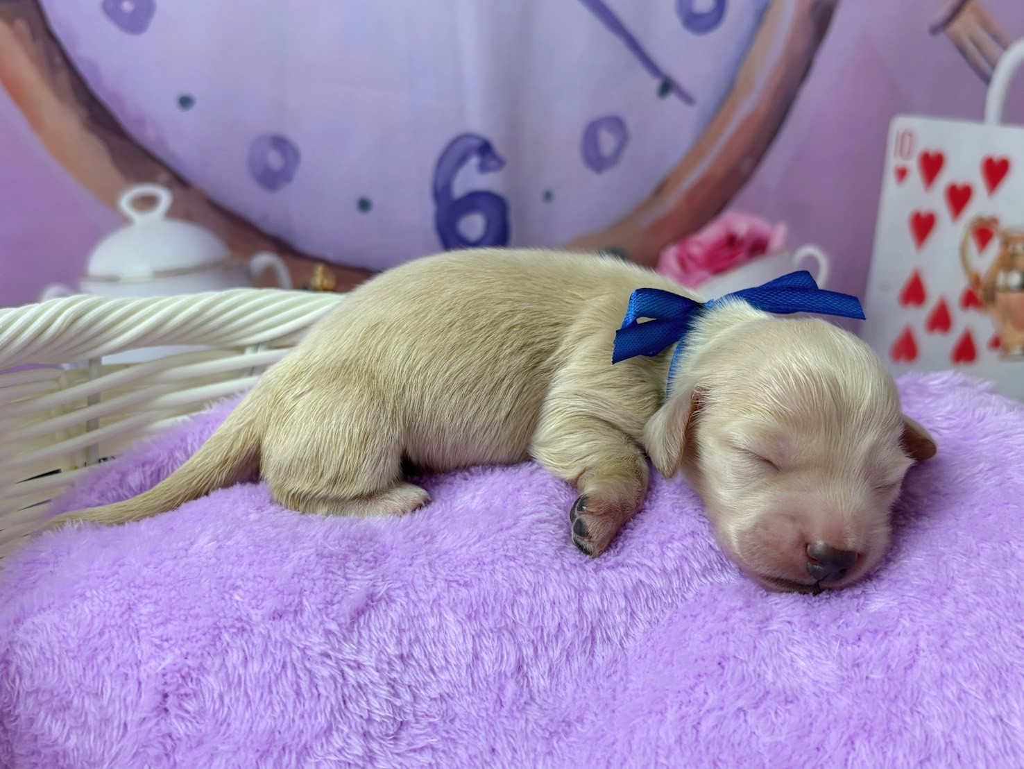 赤ちゃん写真1-2