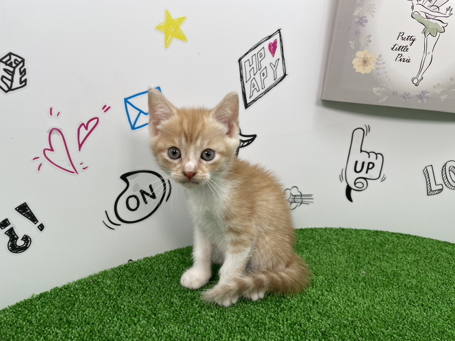 赤ちゃん写真2-1
