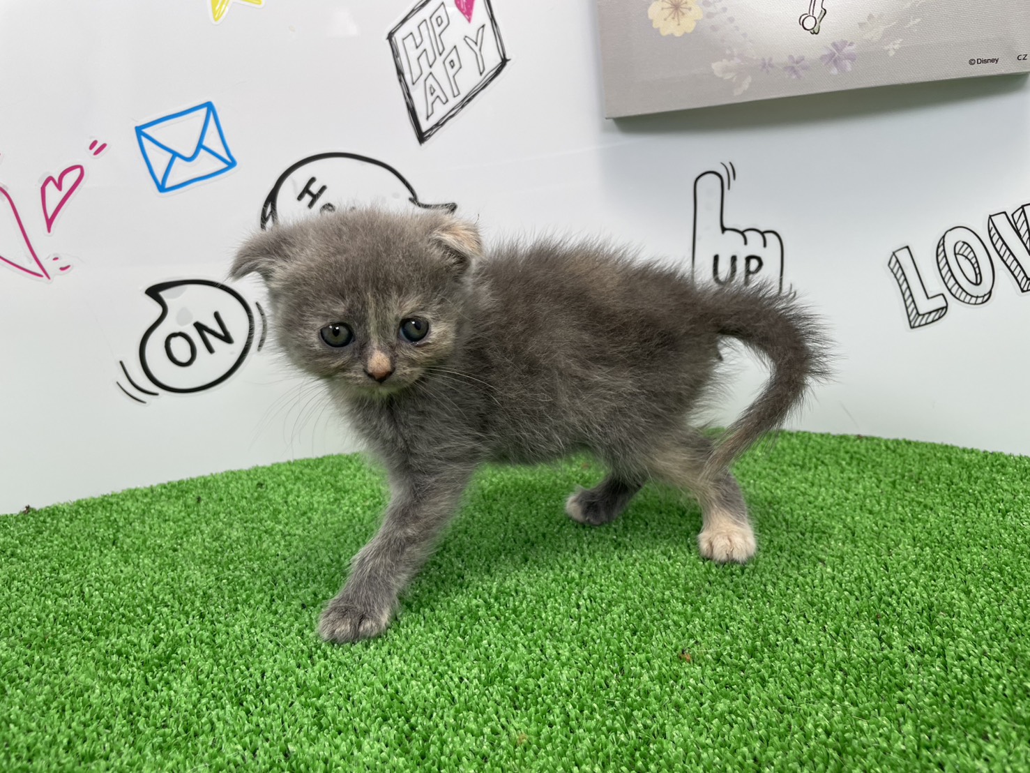 赤ちゃん写真1-2