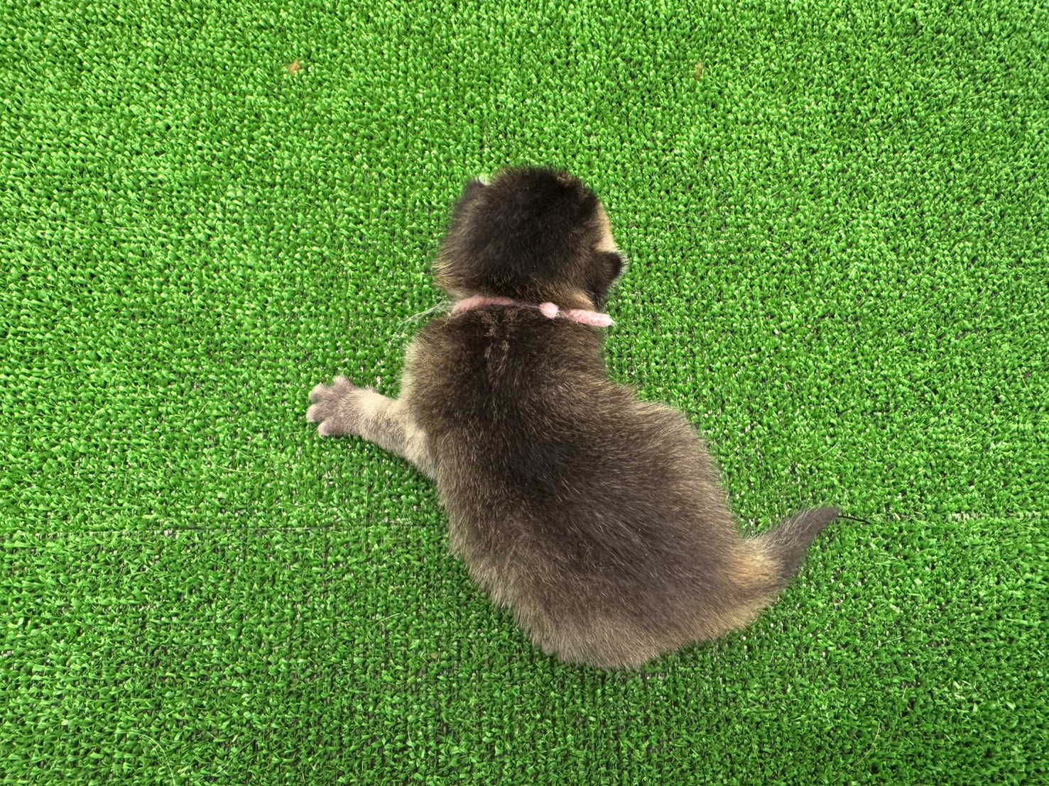 赤ちゃん写真1-3