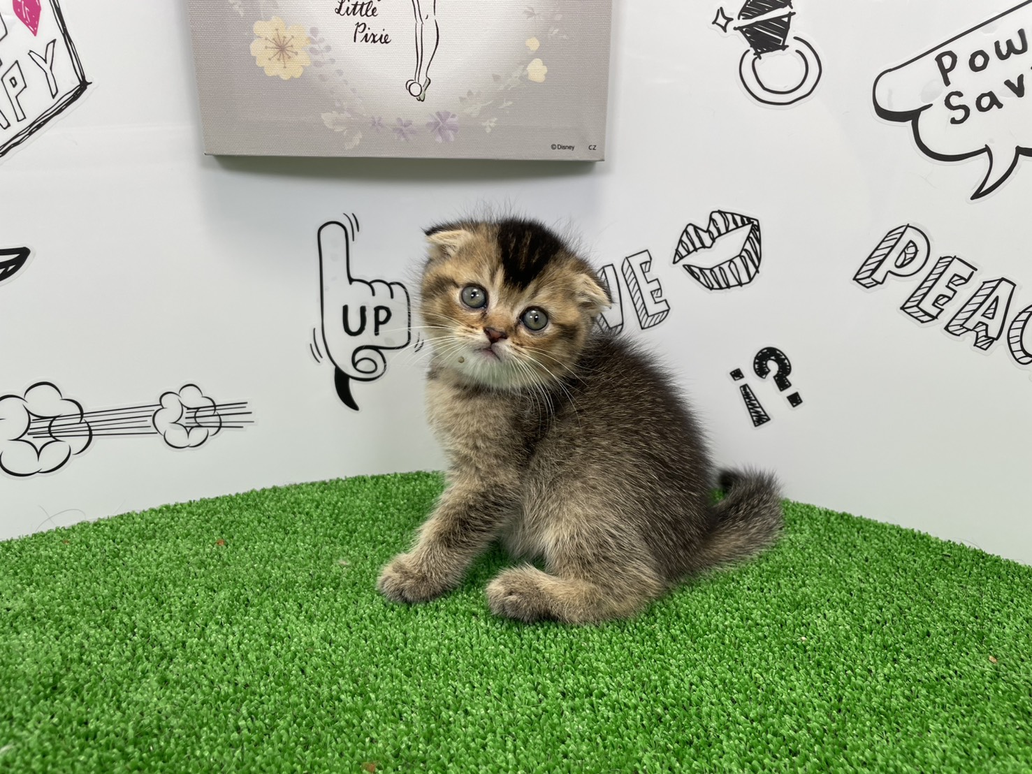 赤ちゃん写真2-1