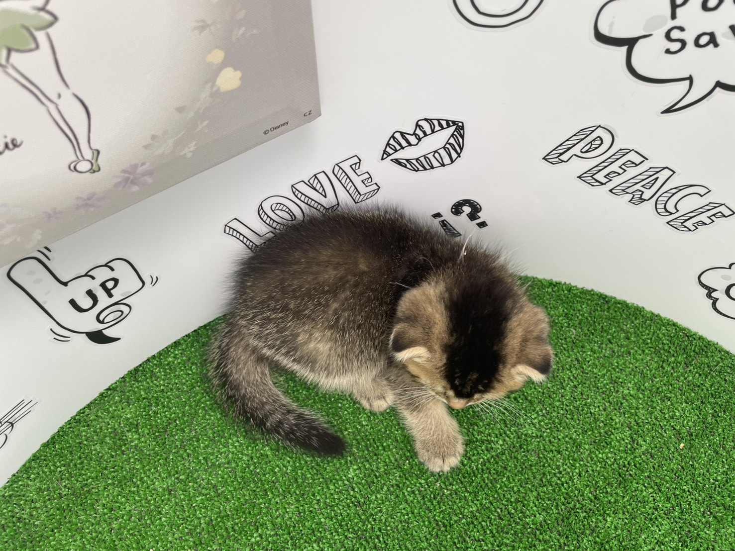 赤ちゃん写真3-3