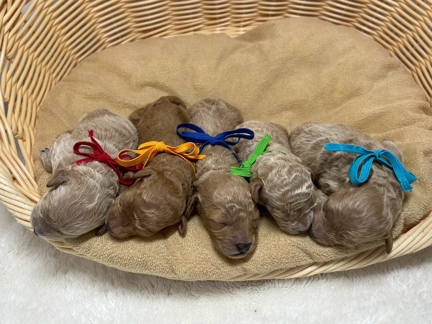 赤ちゃん写真1-3