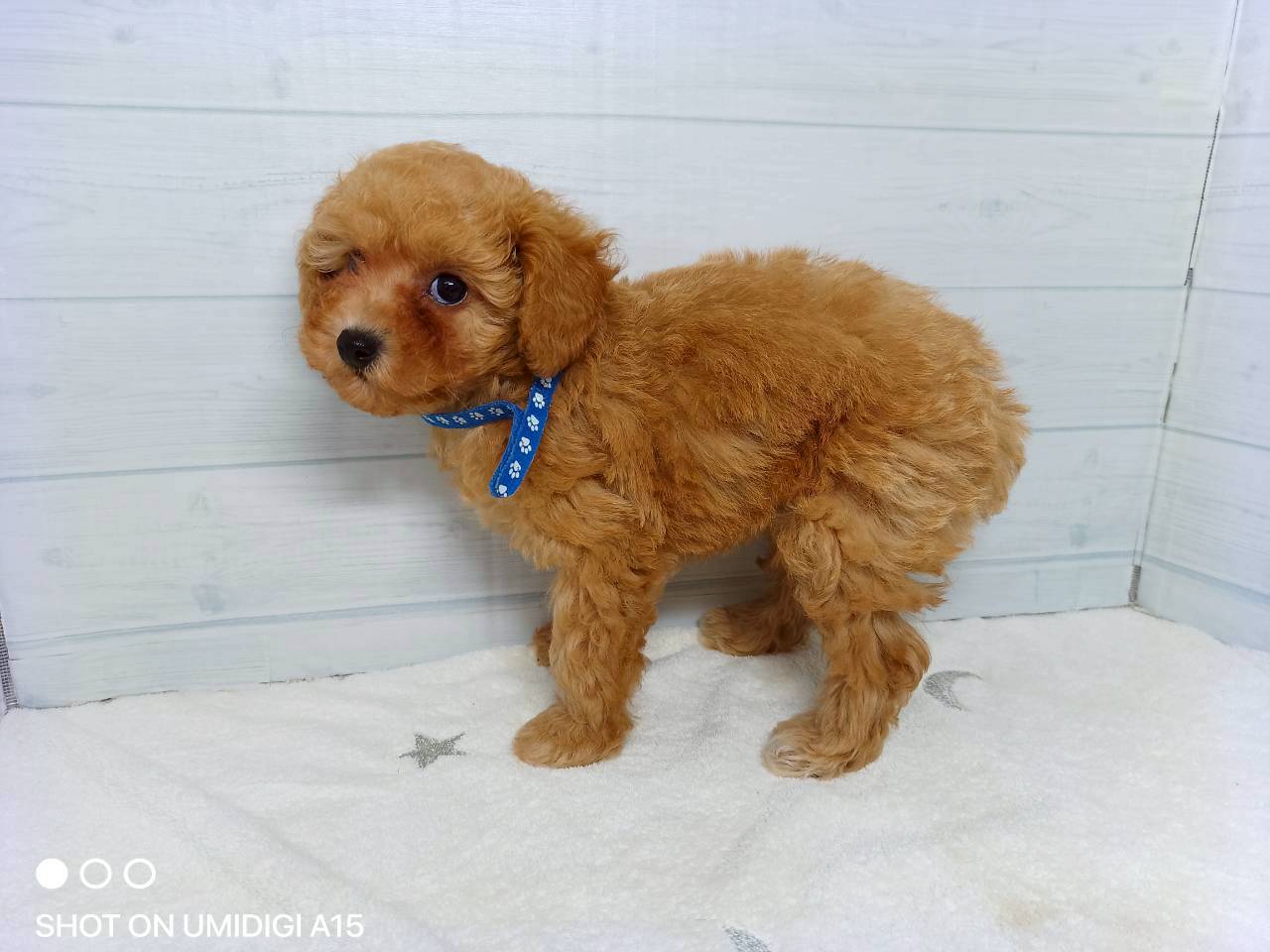 赤ちゃん写真3-2