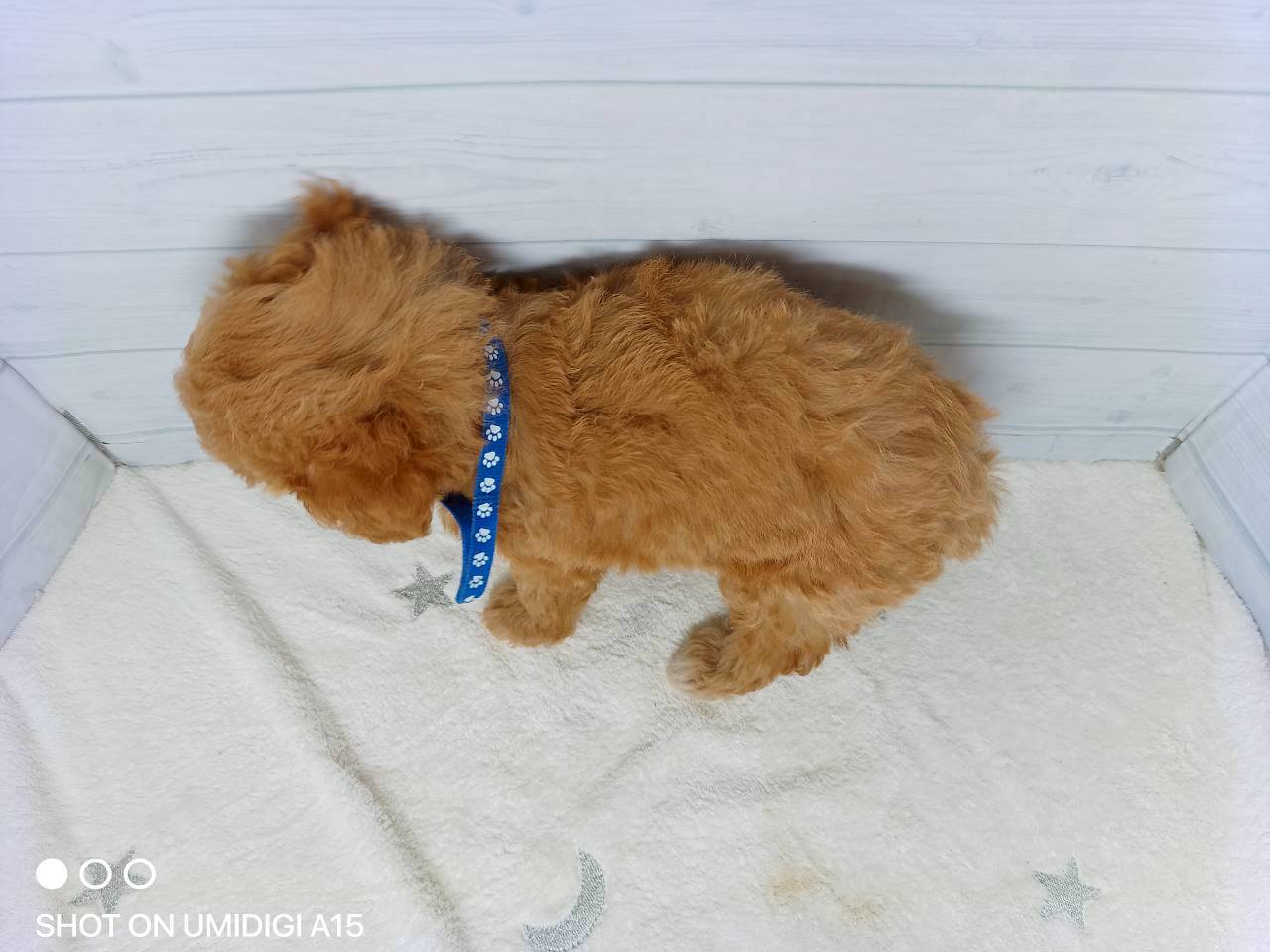 赤ちゃん写真3-3