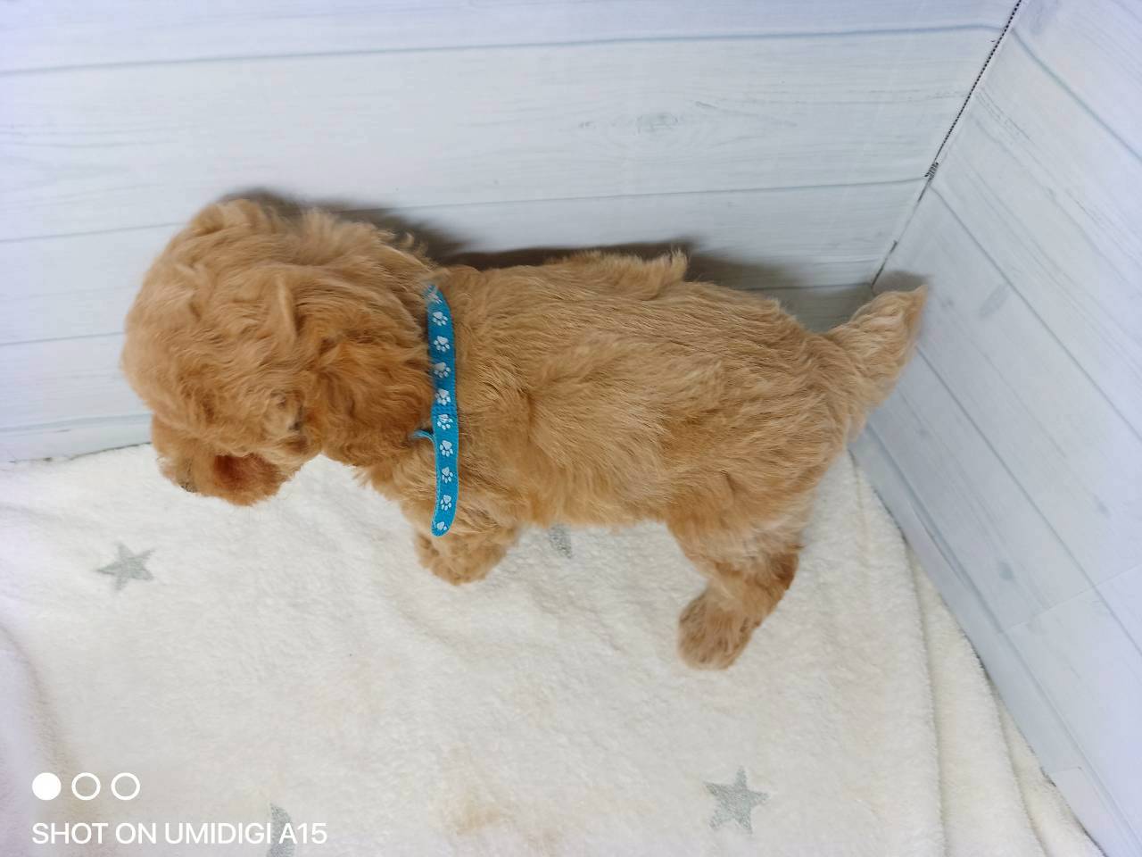 赤ちゃん写真3-3