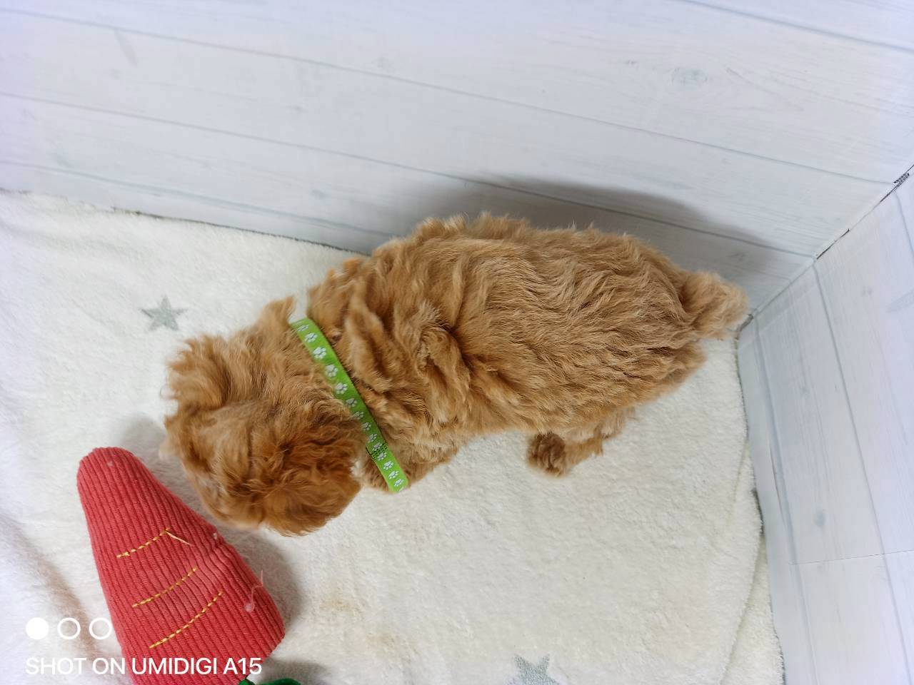 赤ちゃん写真3-3
