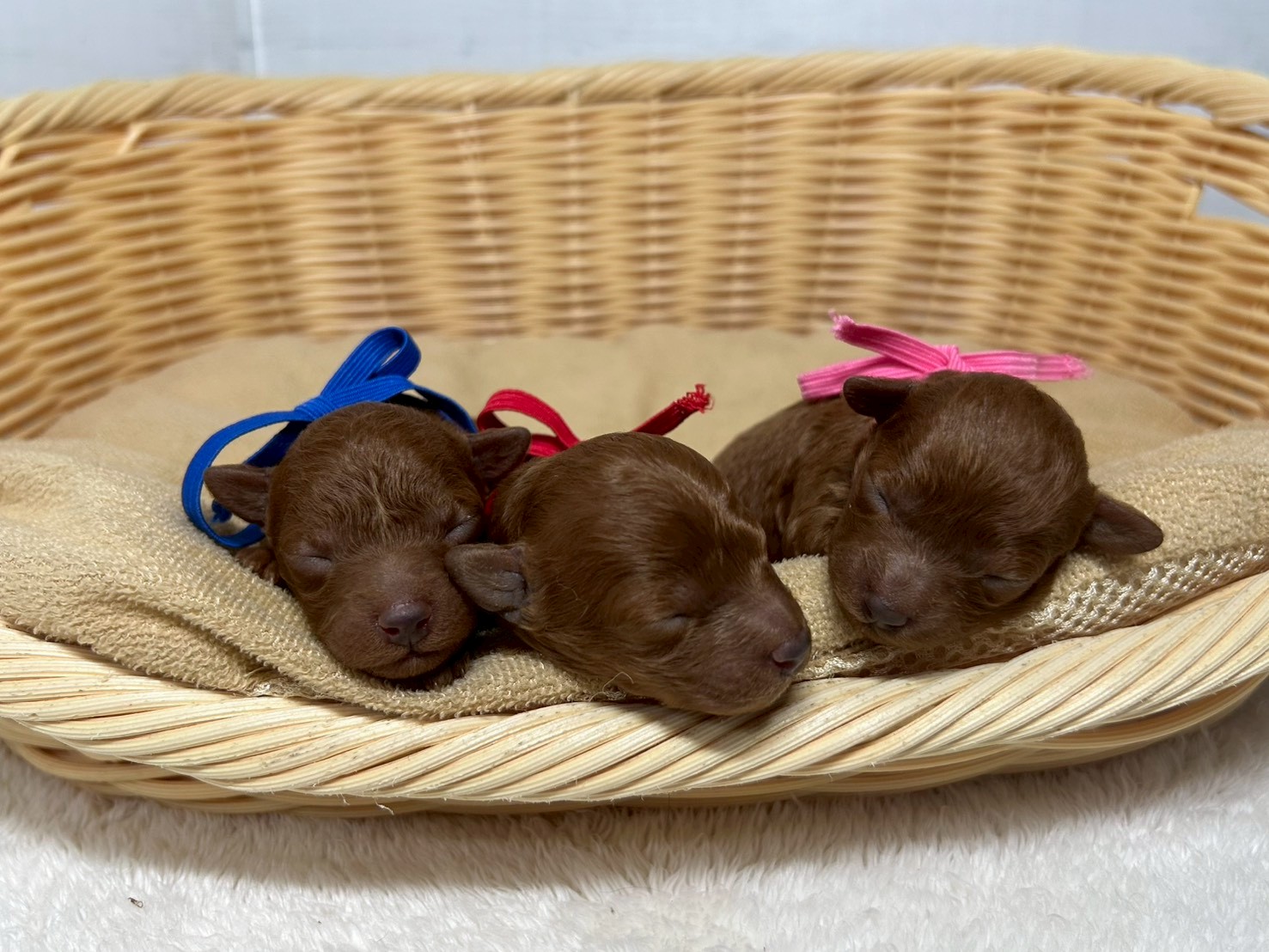 赤ちゃん写真1-3