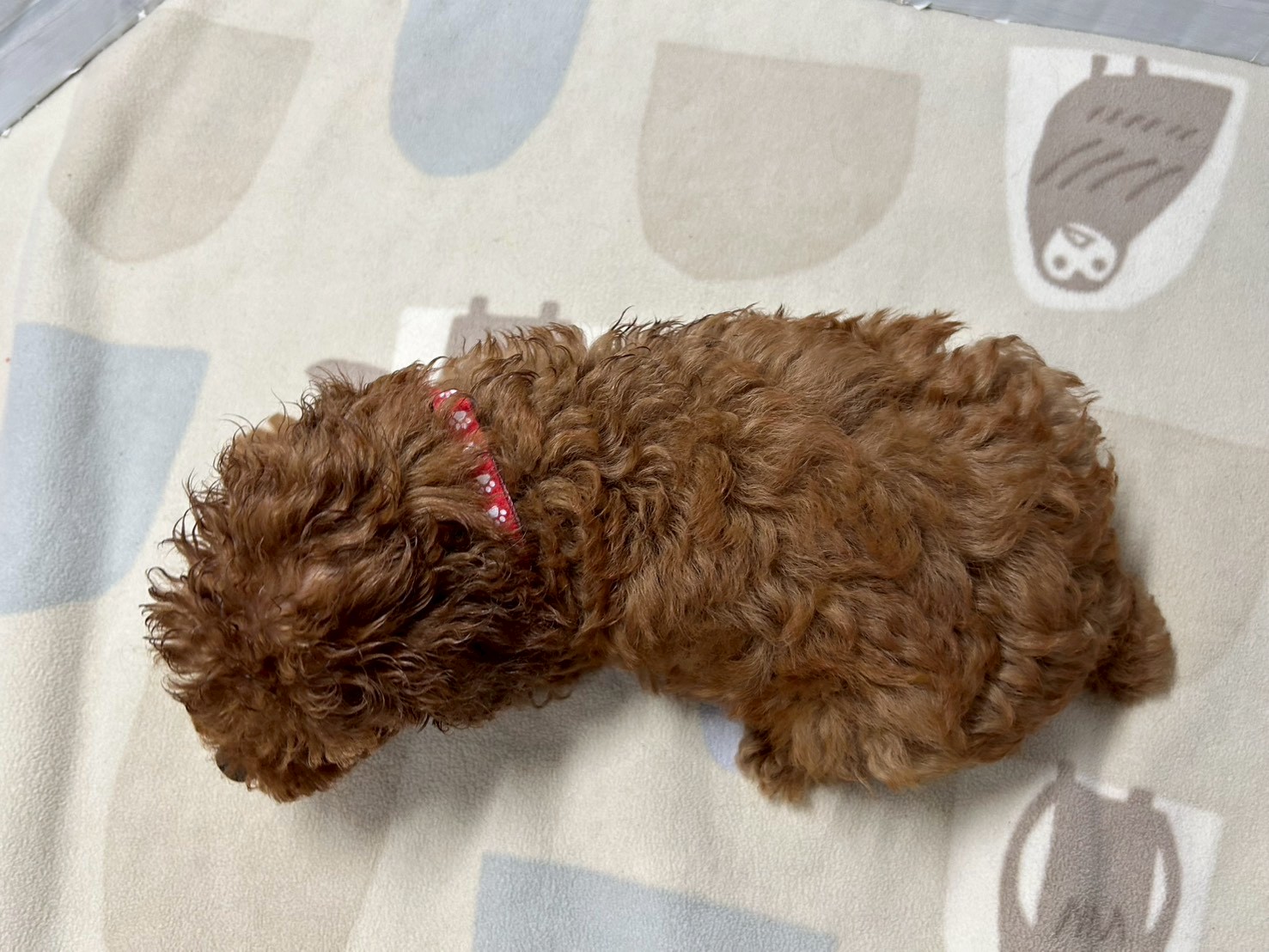 赤ちゃん写真3-3