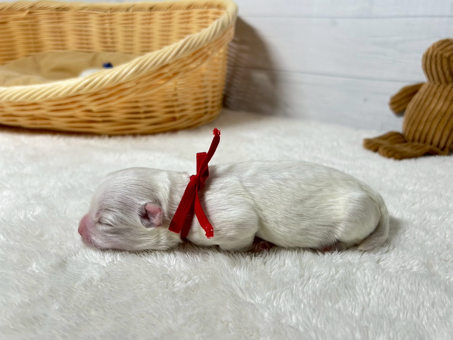 赤ちゃん写真1-2