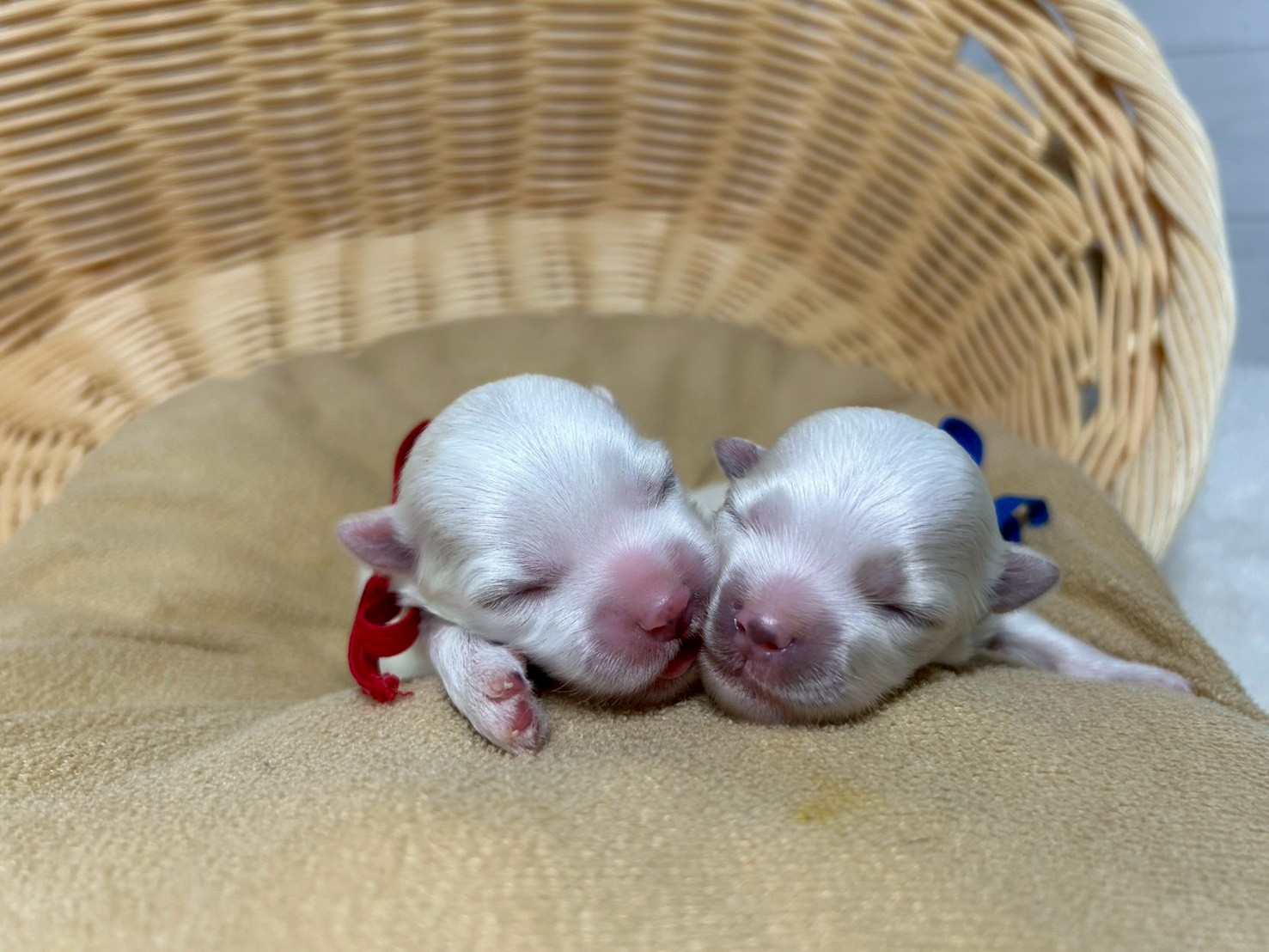 赤ちゃん写真1-3