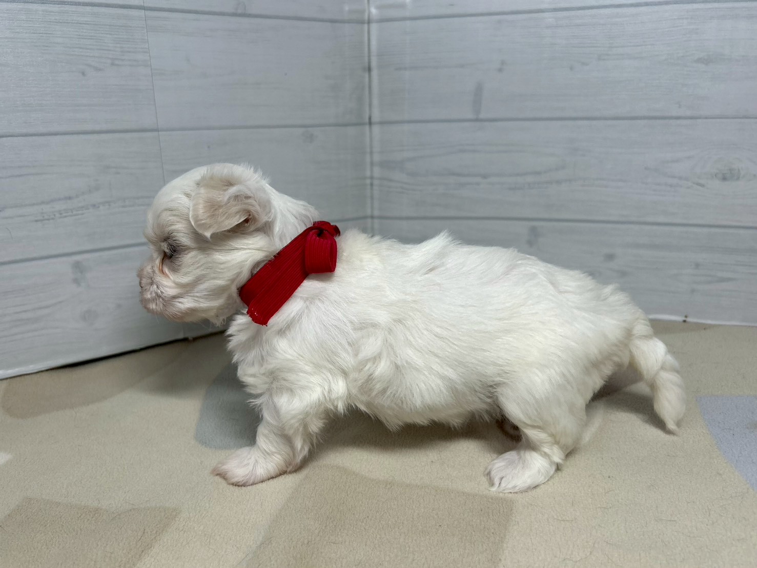 赤ちゃん写真2-2