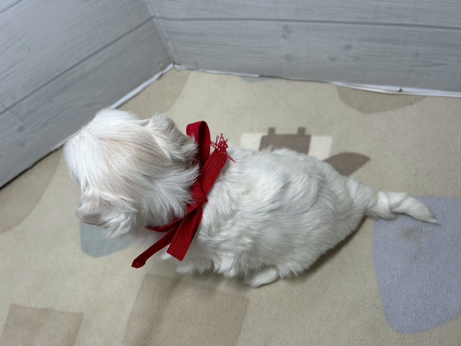 赤ちゃん写真2-3