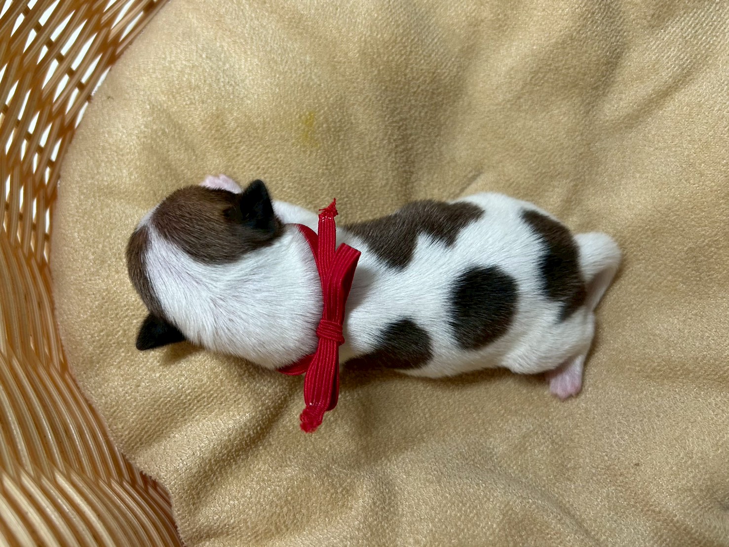 赤ちゃん写真1-3