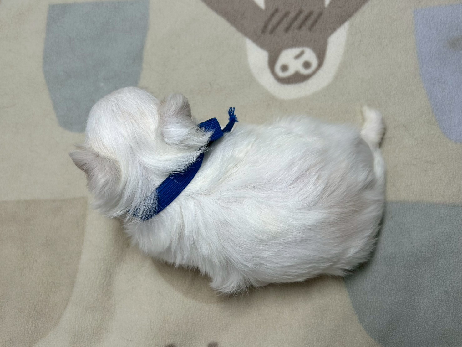 赤ちゃん写真2-3