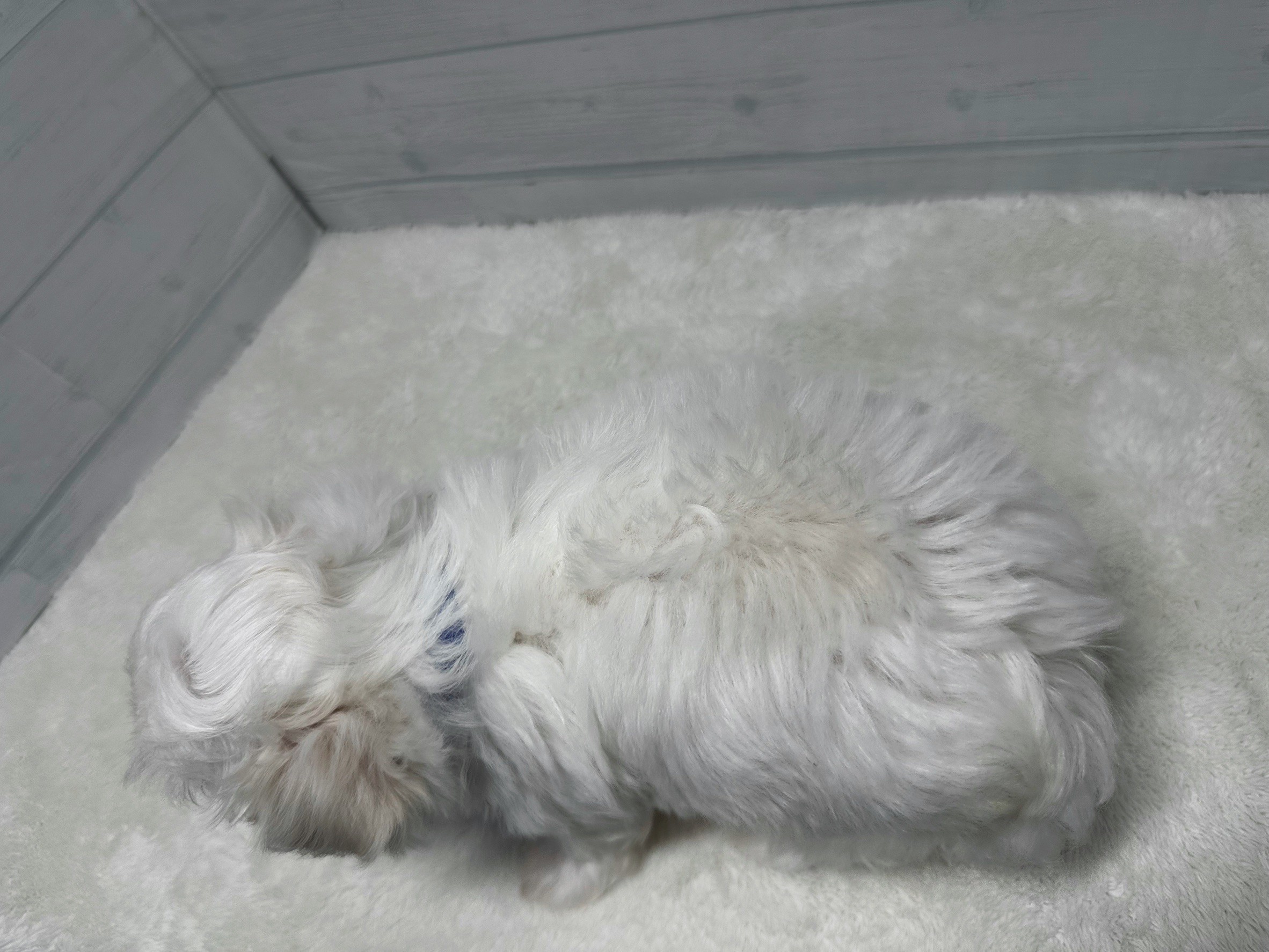 赤ちゃん写真3-3