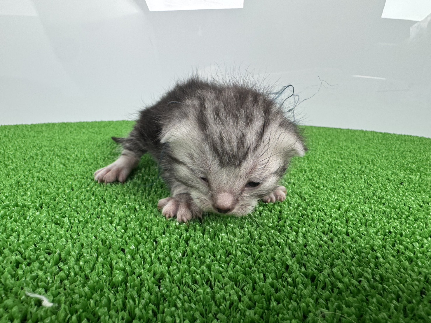 赤ちゃん写真1-1
