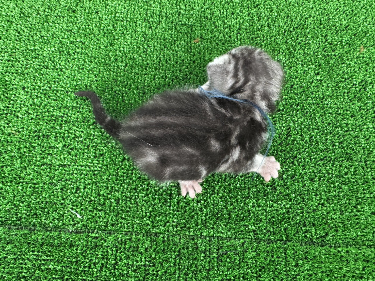 赤ちゃん写真1-3