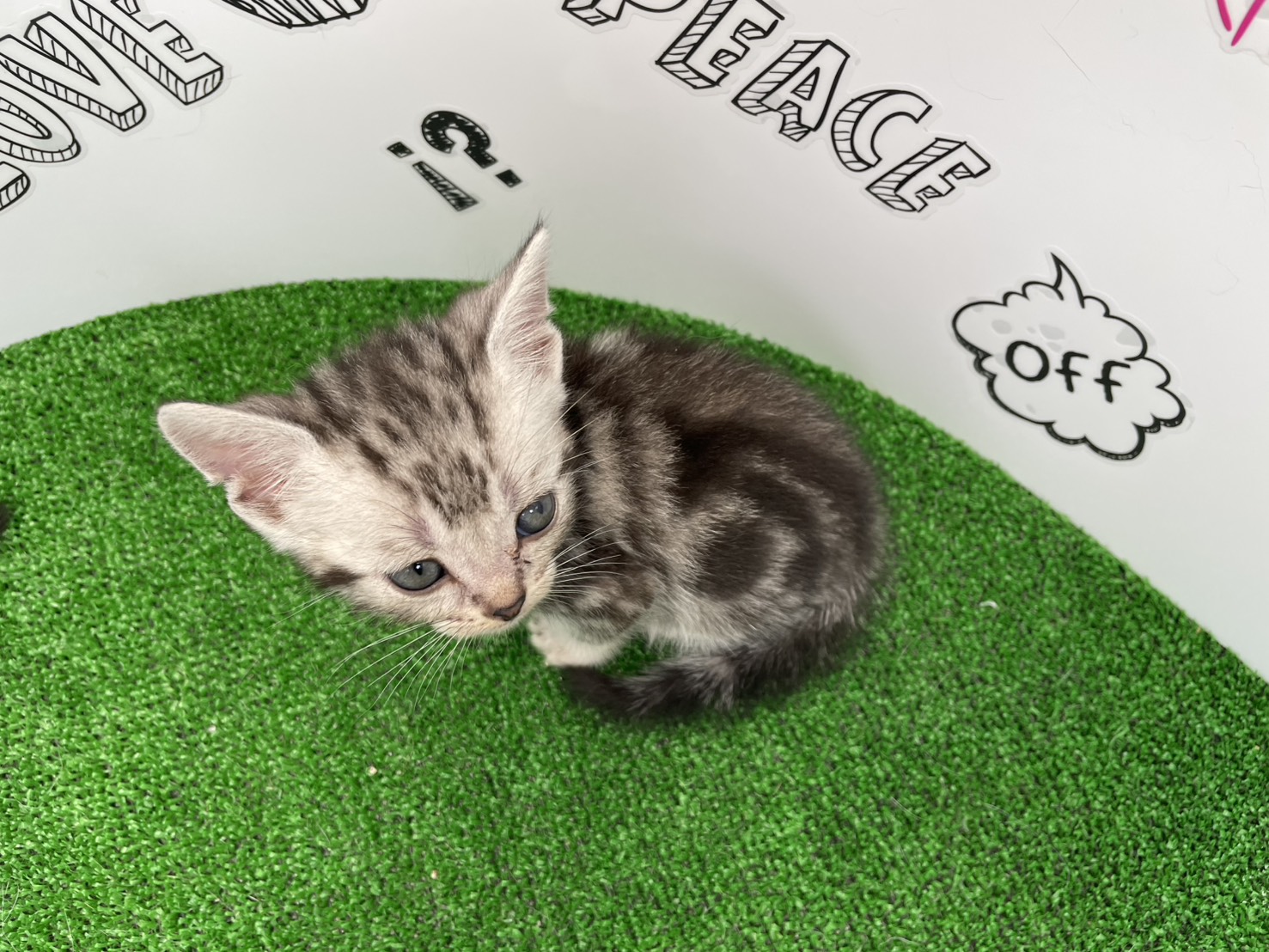 赤ちゃん写真2-3