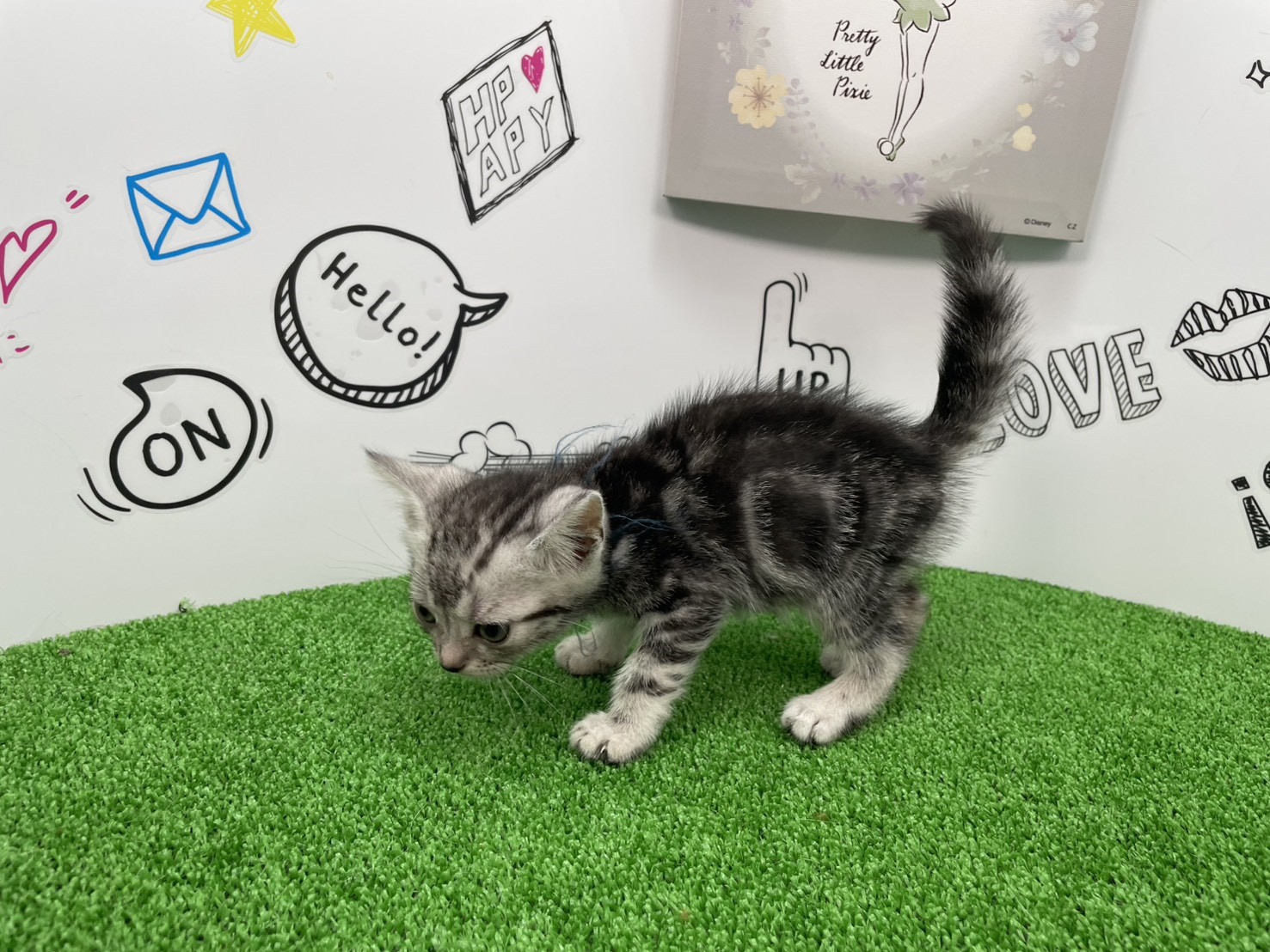 赤ちゃん写真3-2