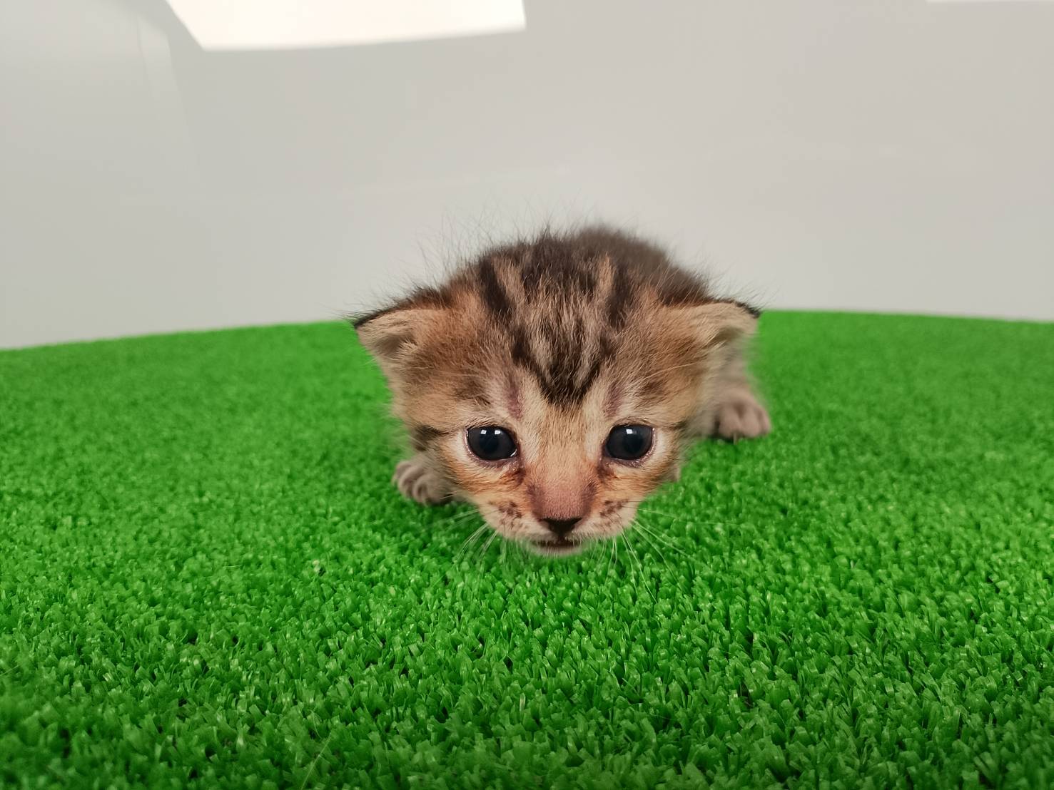 赤ちゃん写真1-1