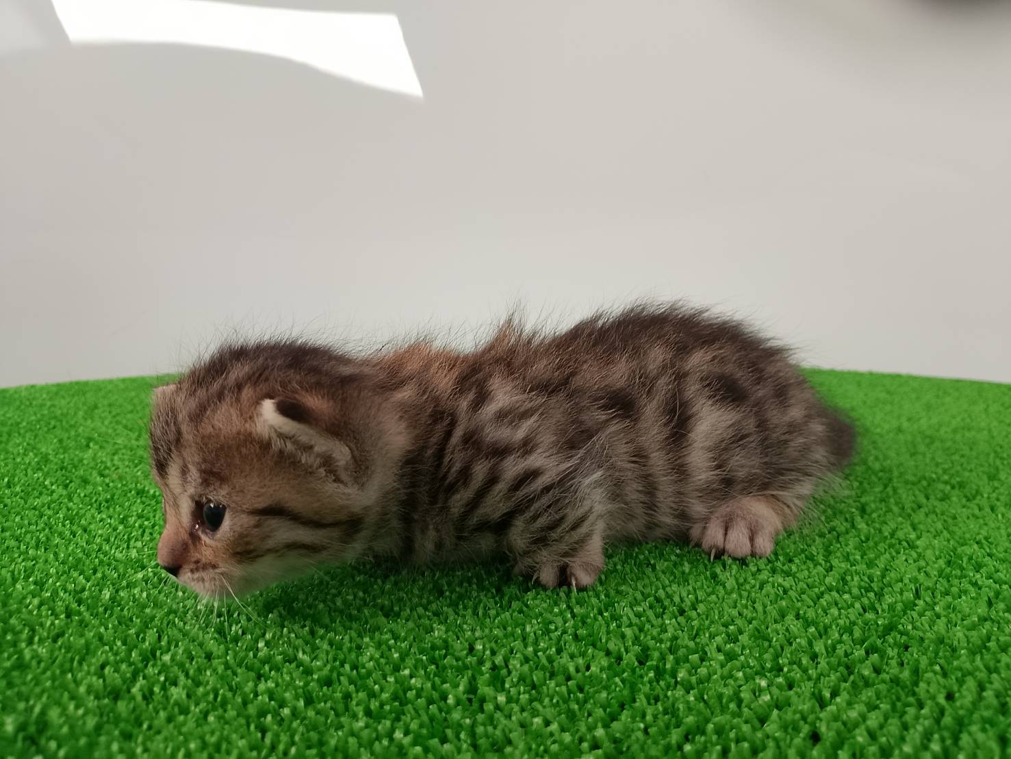 赤ちゃん写真1-2