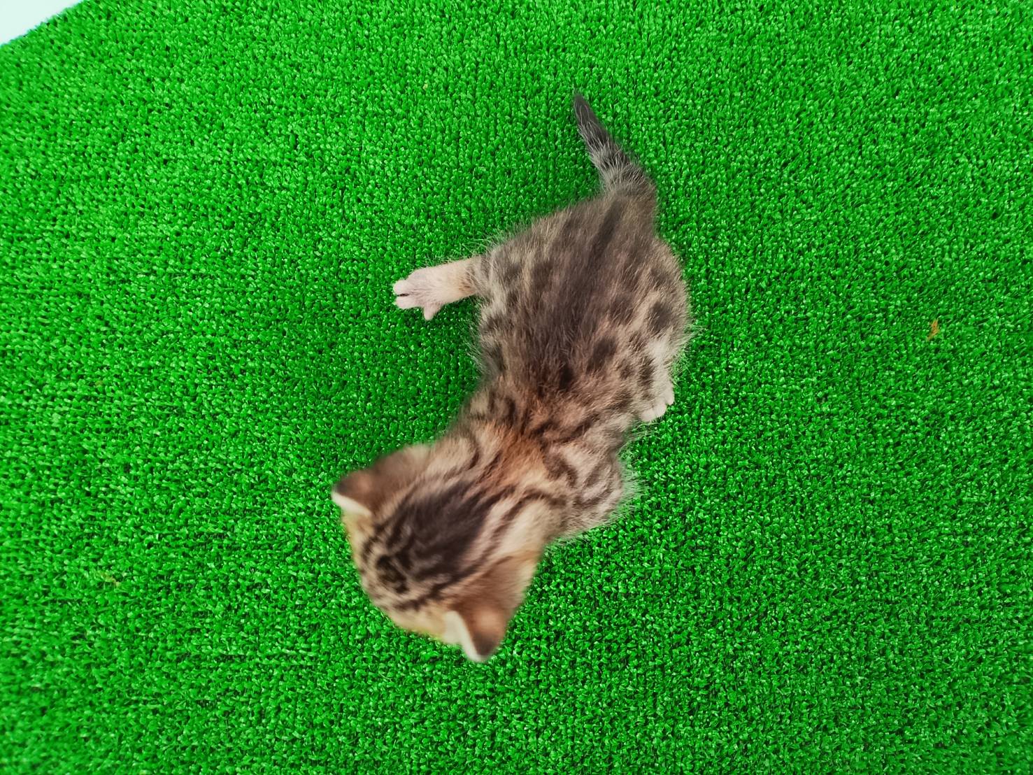 赤ちゃん写真1-3