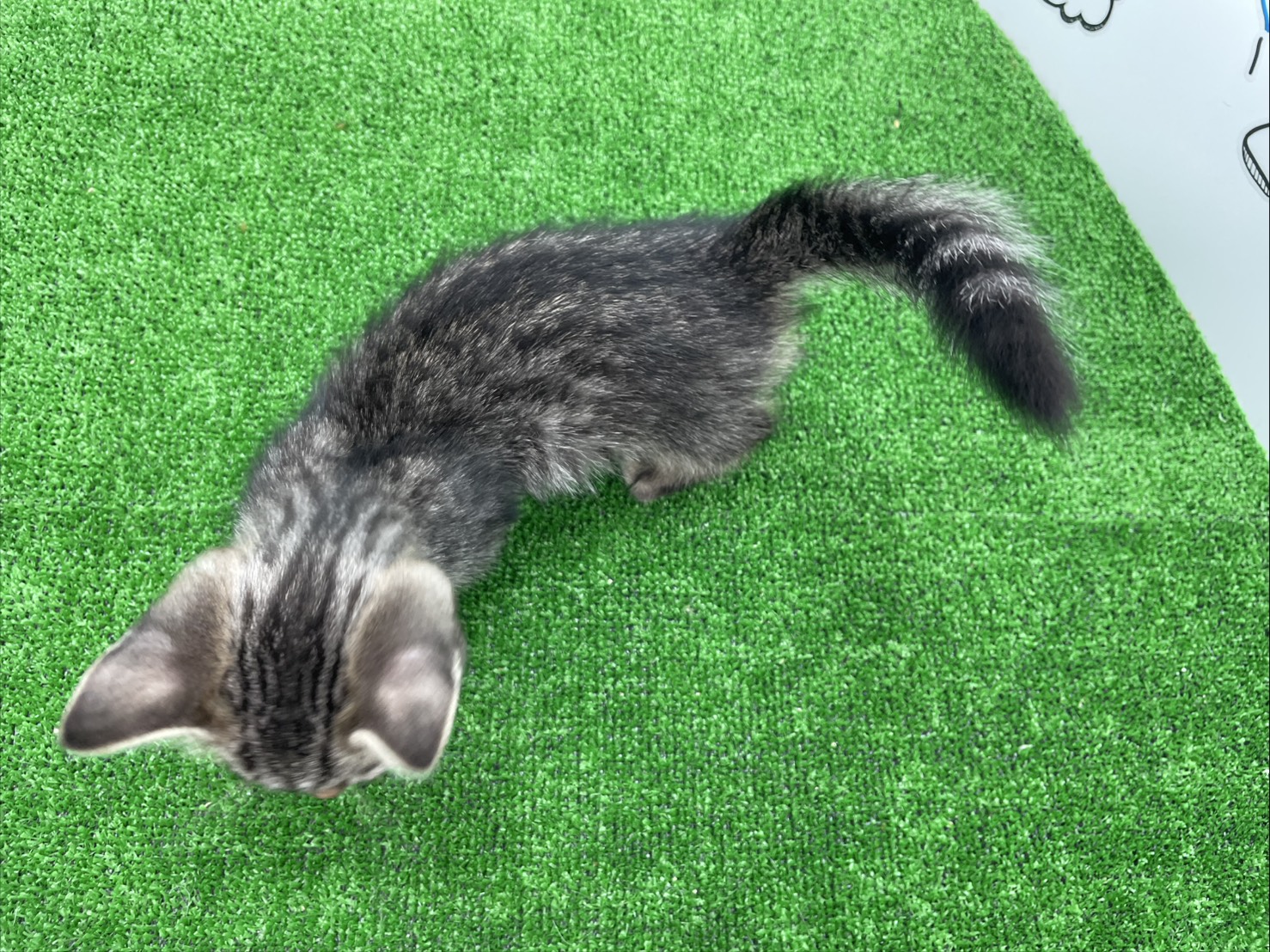 赤ちゃん写真2-3