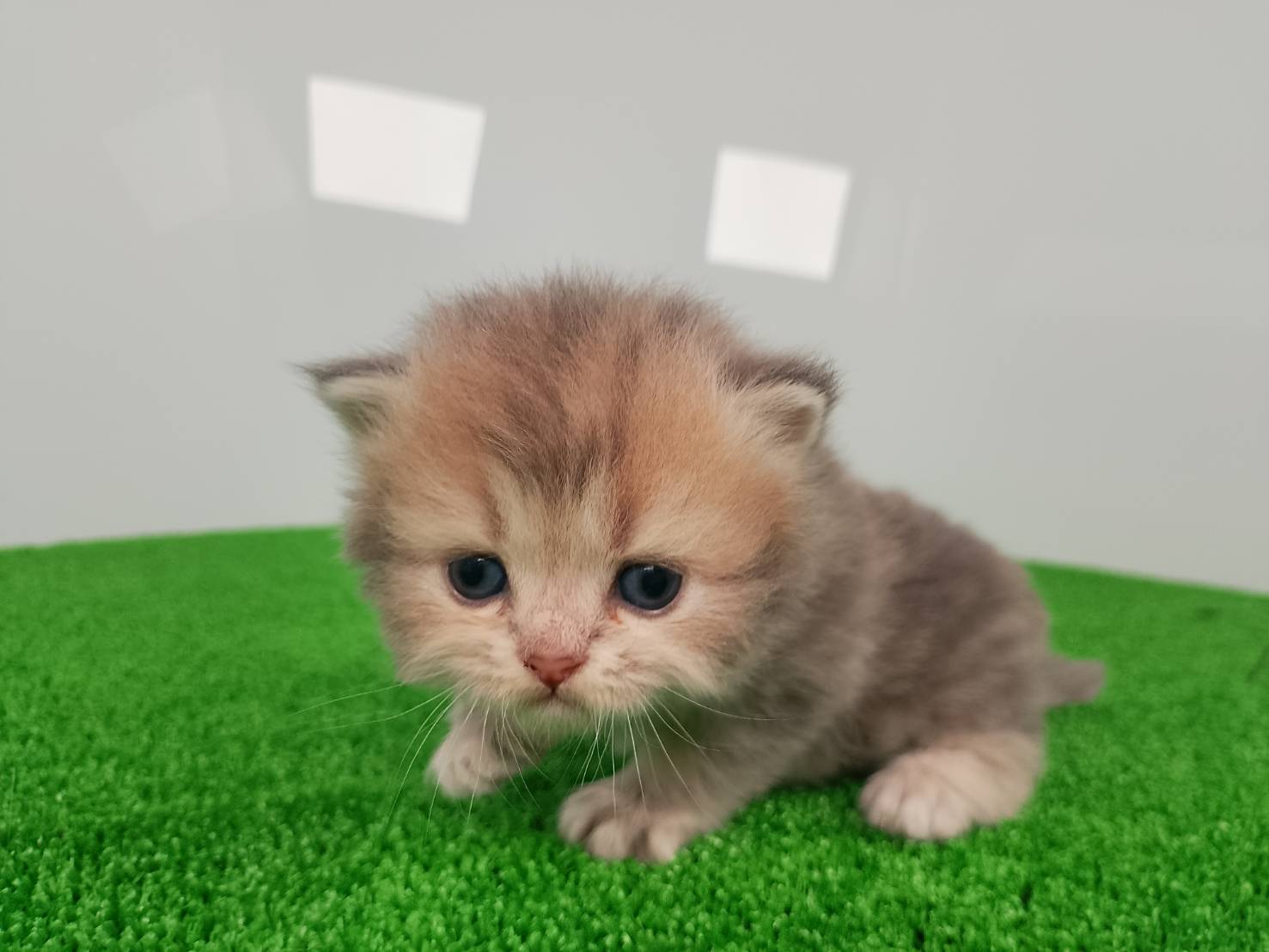 赤ちゃん写真1-1