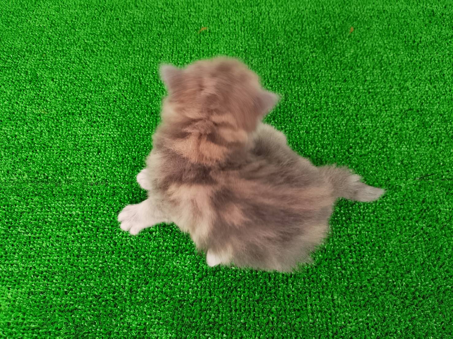赤ちゃん写真1-3