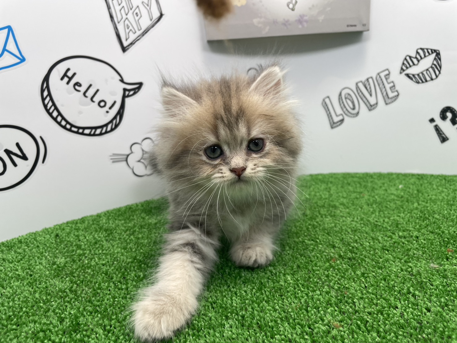 赤ちゃん写真2-1