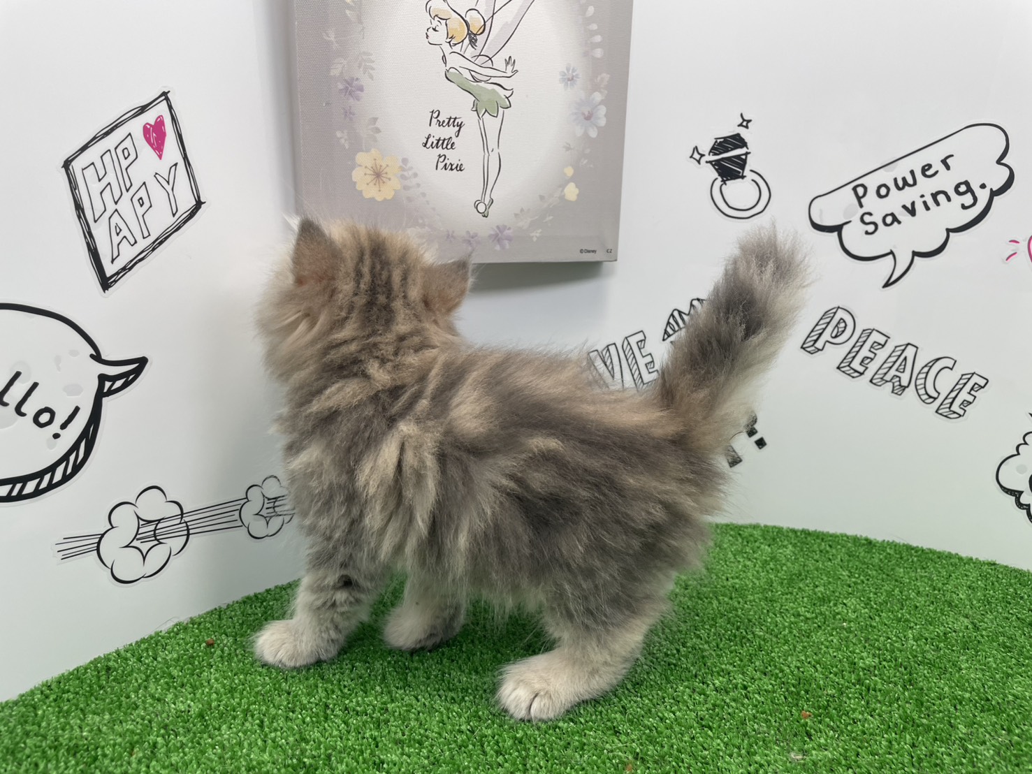 赤ちゃん写真2-2