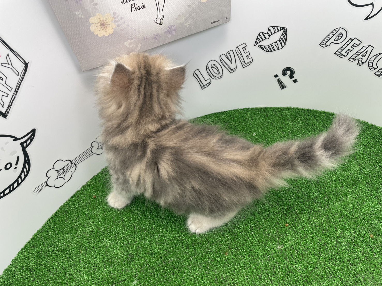 赤ちゃん写真2-3