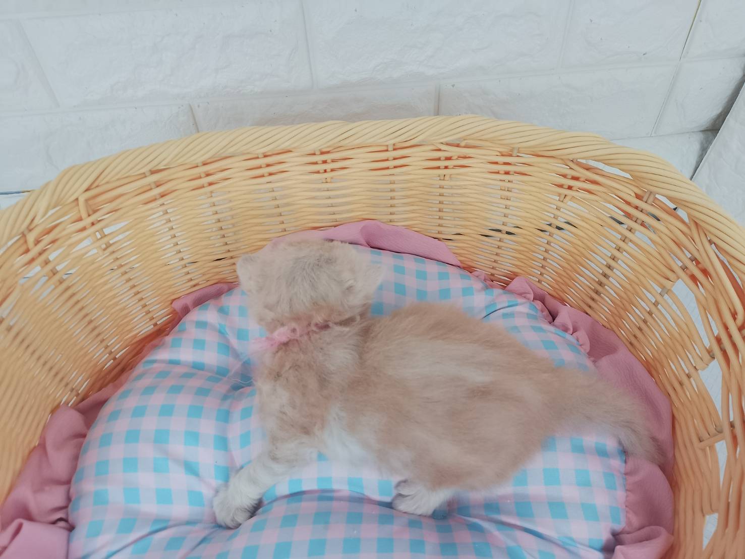 赤ちゃん写真1-3