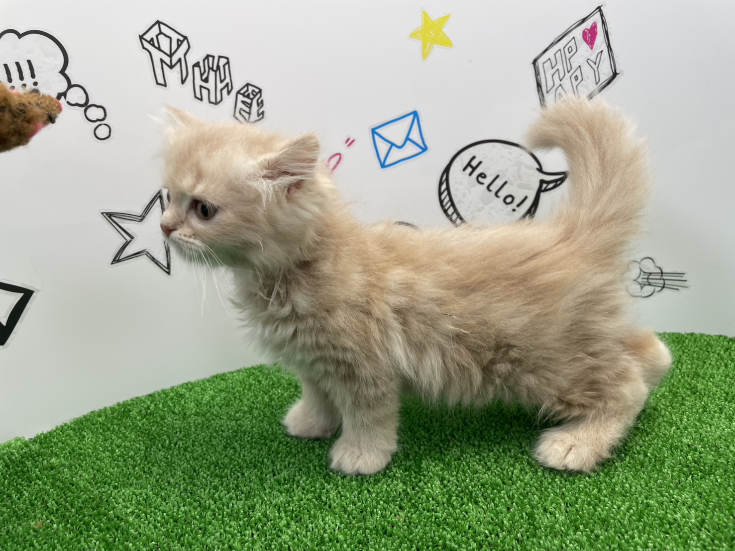 赤ちゃん写真2-2