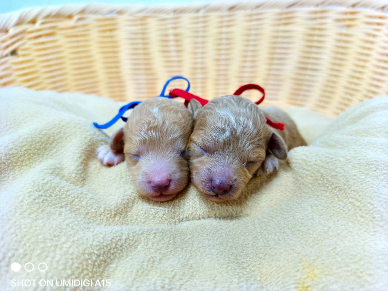 赤ちゃん写真1-3