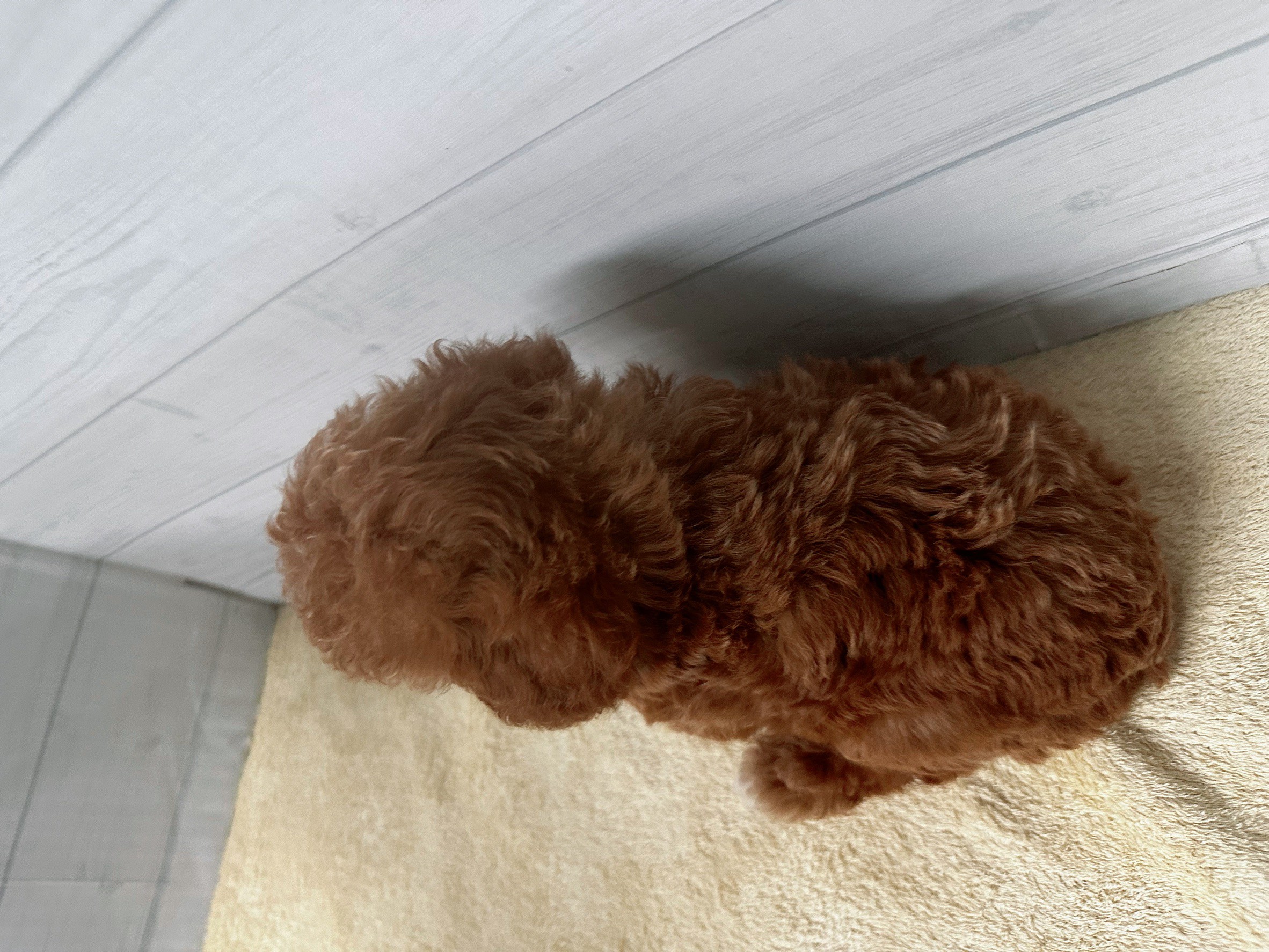 赤ちゃん写真3-3