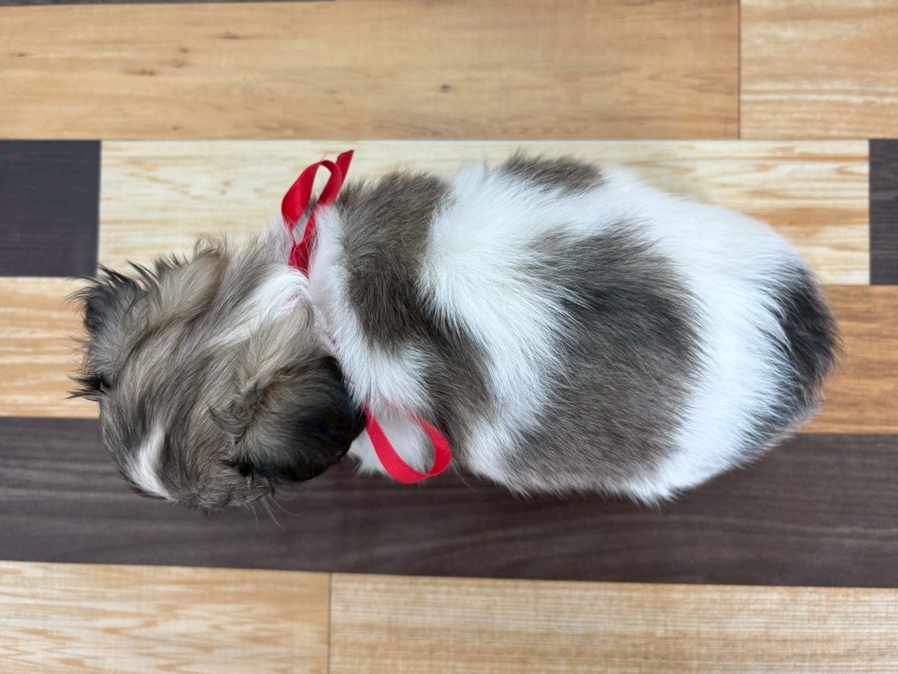 赤ちゃん写真3-3